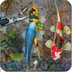 🐠 Koi aquarium 3D live wallpaper APK download