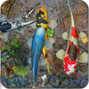 🐠 Koi acuario fondos animados 3D APK