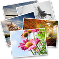 Wallpapers for whatsapp