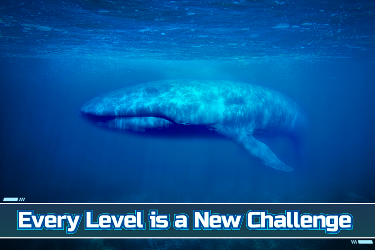 Blue Whale For Android Apk Download - blue whale poster