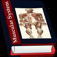 Human Muscle System 截圖 3