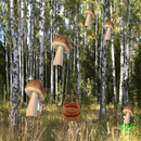 mushrooms and busket APK