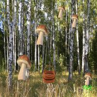 mushrooms and busket 스크린샷 2