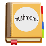 Mushroom APK