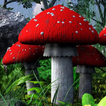 ”mushroom garden live wallpaper