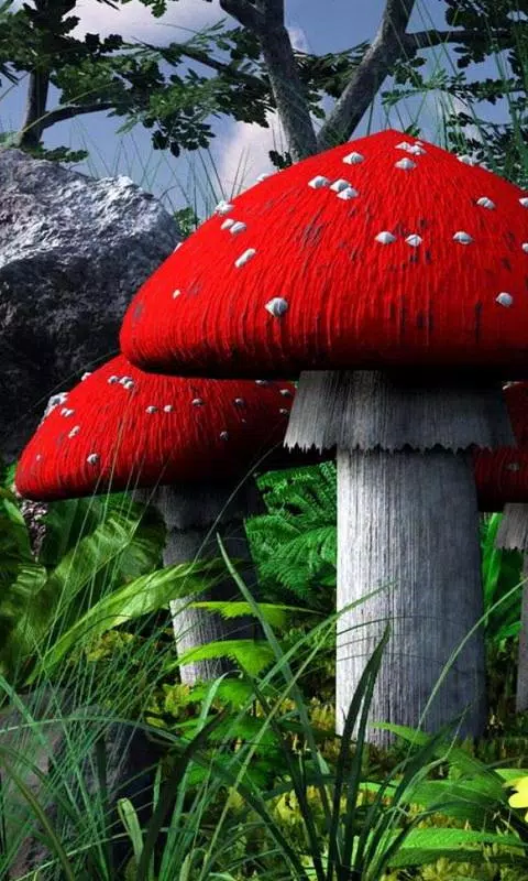 mushroom garden live wallpaper APK for Android Download mushroom garden live wallpaper APK for Android Download