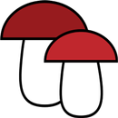 Mushroom identification from p APK