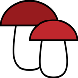 Paddenstoelen identificatie ui