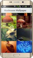 Mushroom Wallpaper HD screenshot 1