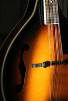 Mandolin Lessons screenshot 1