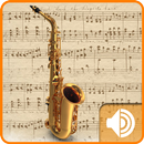 Musical Note Sounds-APK