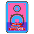Wajah Tum Ho Song Lyrics