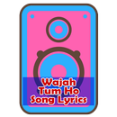 Wajah Tum Ho Song Lyrics APK