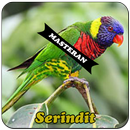 Burung Serindit Master aplikacja