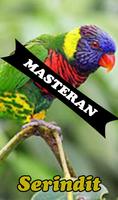 Burung Serindit Master-poster
