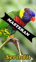 Burung Serindit Master 截图 2