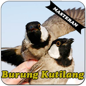 Burung Kutilang Master أيقونة