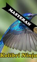 Burung Kolibri Ninja Master plakat