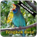 Burung Tengkek Buto Master APK