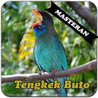 Burung Tengkek Buto Master 图标