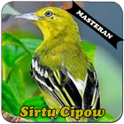 Burung Sirtu Cipow Master ikon