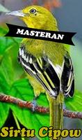 Burung Sirtu Cipow Master poster