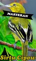 Burung Sirtu Cipow Master 截图 1