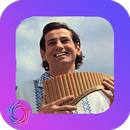 Songs Gheorghe Zamfir APK