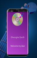 Songs Gheorghe Zamfir screenshot 2