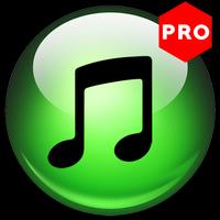 Download+Music+junglevibe 截图 3