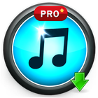 Music Paradise Pro иконка