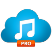 Music paradise pro downloader