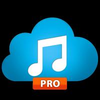 Music paradise pro downloader الملصق
