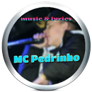 MC PEDRINHO MUSICA-APK