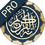 Hafizi Quran 15 Lines (Audio+Translation+Bookmark) icône