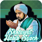 Lirik dan Sholawat Habib Syech Terbaru icône