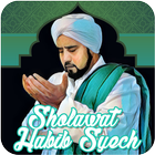 Lirik dan Sholawat Habib Syech Terbaru icon