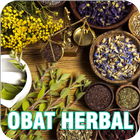 Ramuan Pengobatan Herbal Lengkap icon