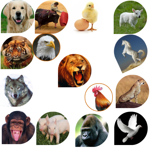 Suoni animali, giardino