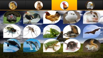 Animal sounds, garden 포스터