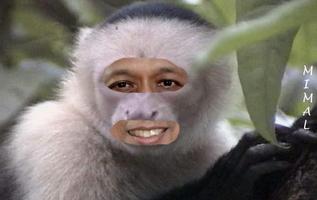 Man Face In Wild Animal Mimal screenshot 1