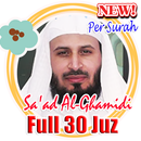 Saad Al-Ghamidi per surah full 30 Juz APK