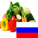 Learn Vegetables in Russian APK
