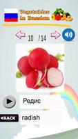 Learn Vegetables in Russian capture d'écran 3