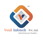 Demo VexilInfotech simgesi