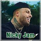 Icona Nicky Jam - Cásate Conmigo