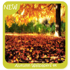 Autumn Wallpapers 4k icône