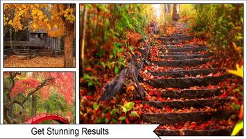 Autumn Wallpapers 4k Ekran Görüntüsü 2