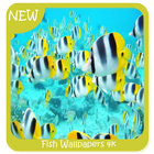 Fish Wallpapers 4k أيقونة