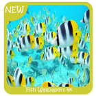 Fish Wallpapers 4k icône